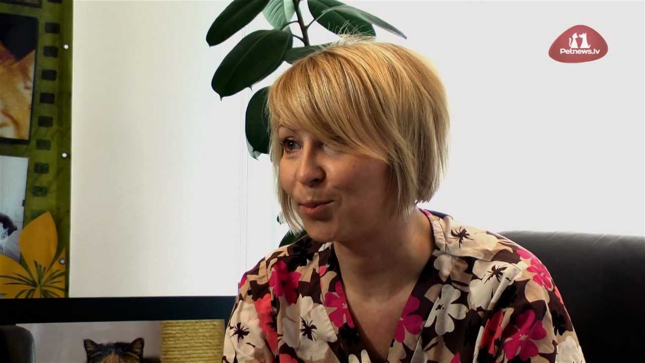Чем кормить собаку или кошку во время беременности? - YouTube