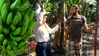 No CUALQUIERA le entra a la COSECHA de PLATANO en Colima  HASTA 50 Kg con una Mano  ALMA Coronel