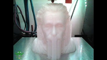 Einstein Bust 3D Print Time-lapse