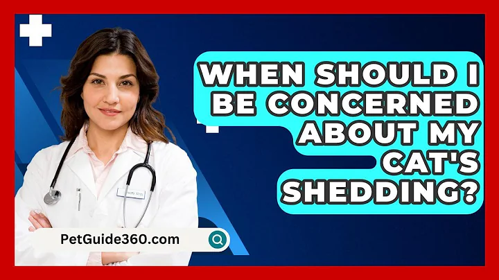 When Should I Be Concerned About My Cat's Shedding? - PetGuide360.com