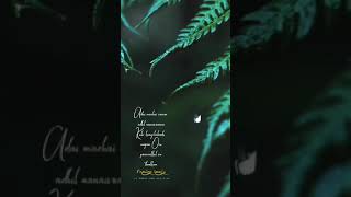💦Adai malai varum😍adhil nalaivom🙈/ BGM💓....🎼