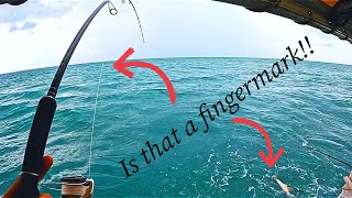 Gulf of Carpinteria Fishing & Island Camping: Epic Catch & cook Fingermark Galore PT 1