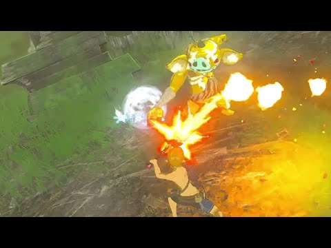 【ブレワイ】依頼を受けて、金ボコに氷杖を持たせて厄介な敵にしてみた【BotW】