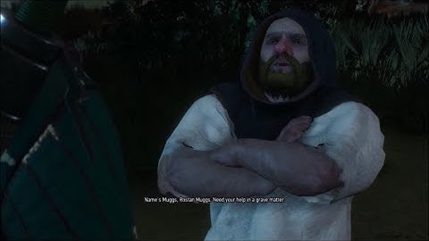 The Witcher 3 Wild Hunt (PS4) - The Dwarven Document Dilemma - Gameplay Walkthrough No Commentary