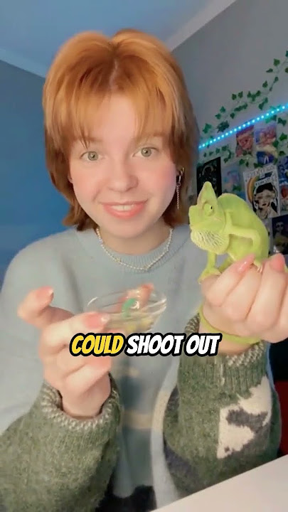 Would you date a chameleon?