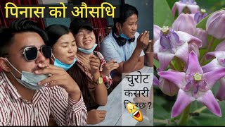 पिनास को घरेलु उपचार || with team||