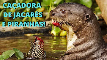 O que é uma onça d'água?