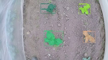Automatic Crop Detection Using Mask R-CNN