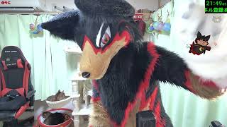 【Fursuit/獣化#182】火曜のもふもふタイム🐶🐾【ジュージュー/JuuJuu】#freetalk #雑談 #fursuit #獣化 #furry