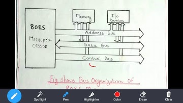 Bus Organization of 8085 Microprocessor