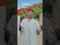 Buna Dhuguuf Bira Hin Deemu 