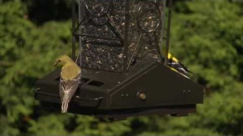 Perky-Pet® Fortress Squirrel Proof Feeder Instructional Video | Squirrel Proof Bird Feeder