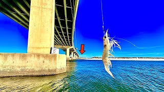 Tossed a LIVE! Shrimp under this BRIDGE and Caught THIS... [Gulf of Mexico]