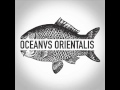 Oceanvs Orientalis - White Ocean - Burning Man 2015