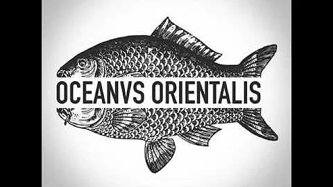Oceanvs Orientalis - White Ocean - Burning Man 2015