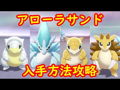 ソードシールド サンド アローラのすがた の種族値 わざ 特性など能力と入手方法 ポケモン剣盾 攻略大百科