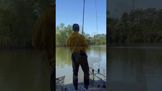 Карп клюнул на попуск🎣 #рыбалка #фидер #флэтфидер #карп #ловлякарпа #рыбалканафидер #карпфишинг