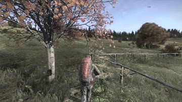 DayZ Standalone Gameplay - Day 1 of Pre-Alpha Release [Part 1]
