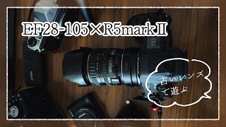 R5markⅡ】キャノンEF28-105で遊ぶ - YouTube