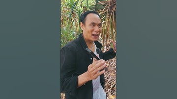 ทำไมเลนส์ 35mm ถึงเหมาะกับการถ่ายหนัง ถ่าย MV