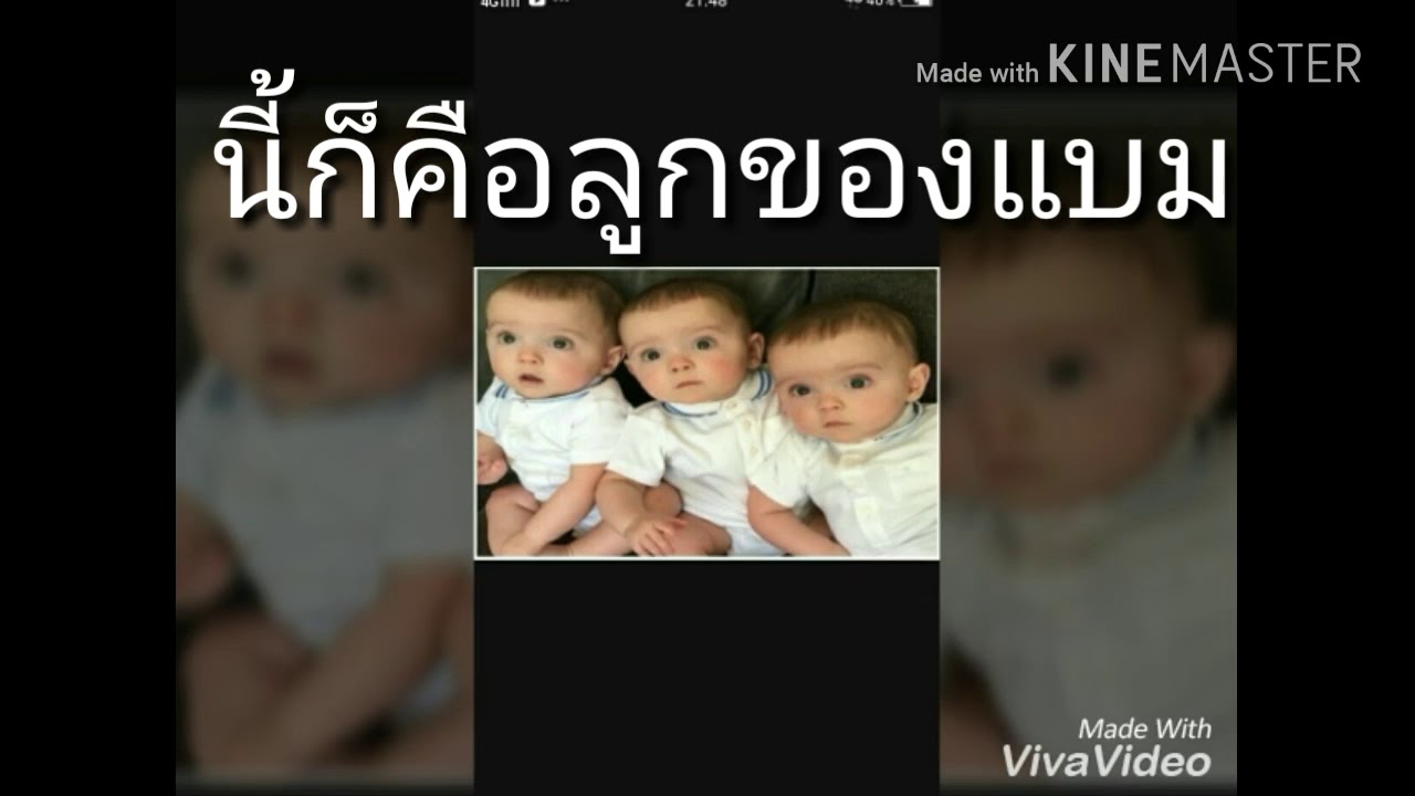 แก๊งมาเฟียกับนายเมียที่รักตอนจบ(แอดรถล้มนะเมื่อวาน)