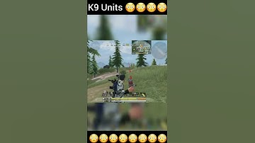 Friendly K9 Unit Incoming 😳🤗 #callofdutymobile #codm #shorts