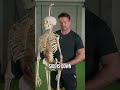Fix Lateral Pelvic Tilt, For Good
