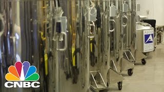 Alcor Freezes People For A Shot At Immortality | CNBC