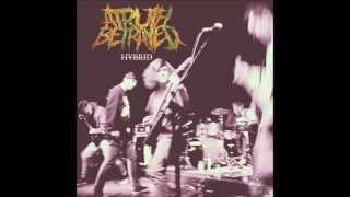 A Truth Betrayed - This Hatred