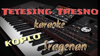 Tetesing Tresno - koplo sragenan ( karaoke   lirik )