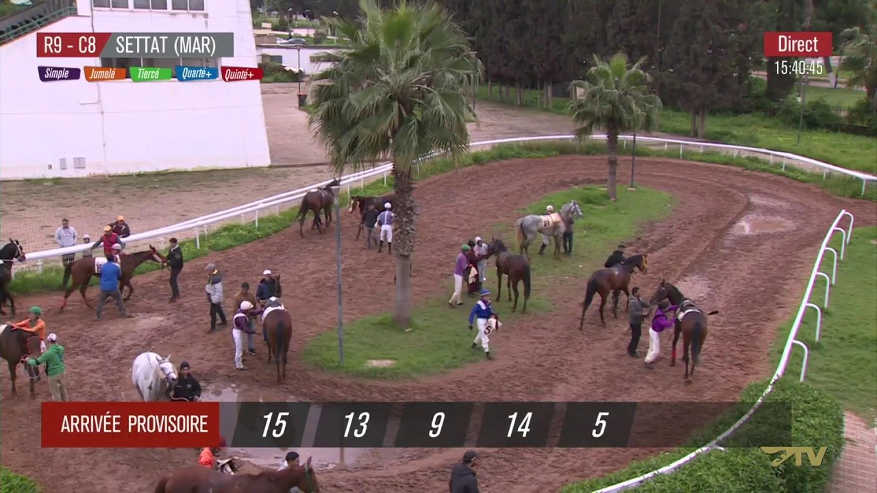 Live Hippodrome « SETTAT » Courses du  07/03/2026 .