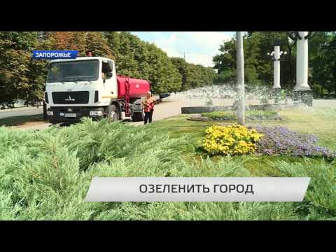 ОЗЕЛЕНИТЬ ГОРОД