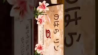 Naptın O Senin Baban Ne Alaka Bilmiom