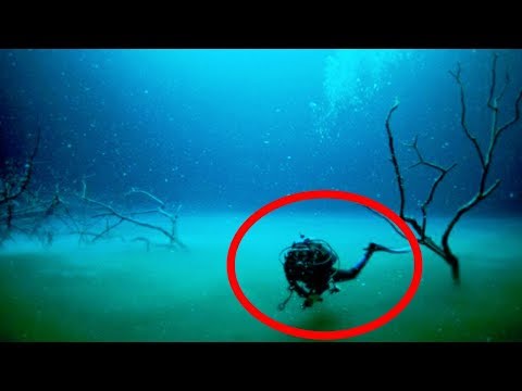Vídeo: Onde existem limos calcários no fundo do mar?