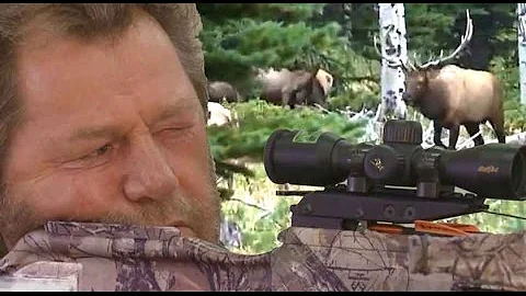 BULL Elk Taken with a Crossbow in Wyoming