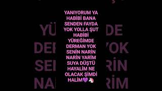 Yaniyorum Ya Habi̇bi̇ Bana Senden Fayda Yok💜🦄 Resimi