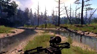 PS3   Cabela's Big Game Hunter 2010 Brown Bear screenshot 4