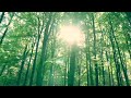 EPK - Narrow