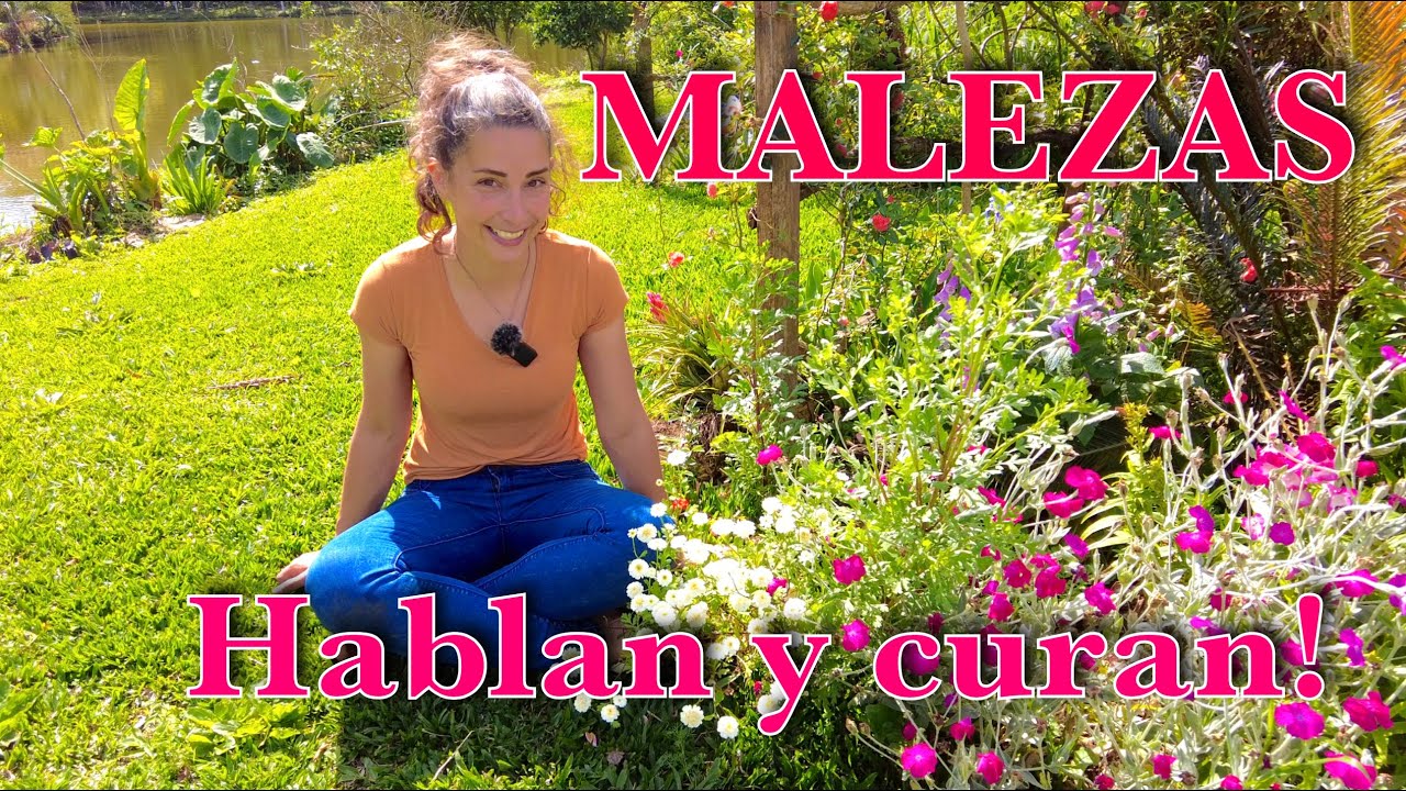 PLANTAS INVASORAS: lo que ellas nos dicen