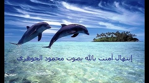 آمنت بالله ابتهال بصوت القارئ محمود الجوهرى امام مسجد الرحمة بحى النوارية بمكة المكرمة