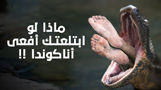 ماذا لو ابتلعتك أفعى أناكوندا !!