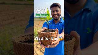 ✅✅ Kheti ka future: Living Pot Farming #shorts #smartfarming #vermicompost #agriculture
