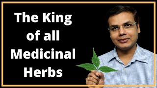 Daily Consumption of Neem Leaves is Inevitable | Neem Benefits