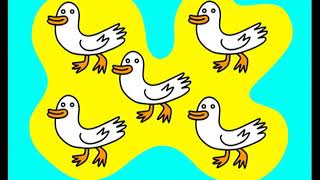 five white ducks
