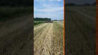 No till soybeans into rye cover crop stubble