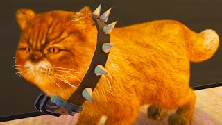 Симулятор Кота с Кидом #5 Персидский кот и Малыш Каракал в Cat Simulator 2 на Пурумчата