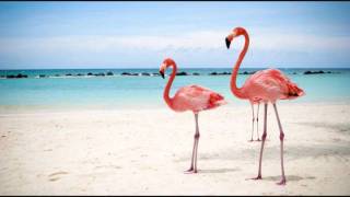 Video thumbnail of "Flamingosi-Poljupci (LYRICS)"