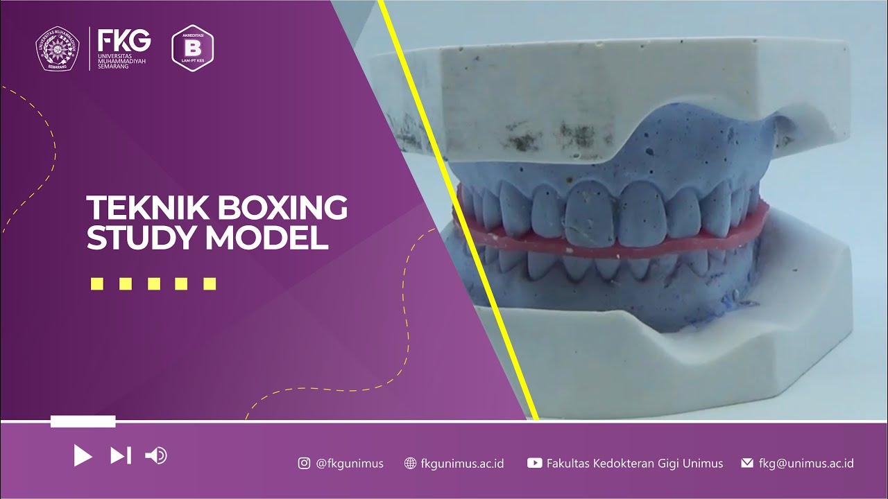 Teknik Boxing Study Model