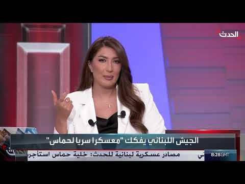 نزع سلاح الفصائل الفلسطينية في لبنان: جدوى اللجنة وتأثير حزب الله