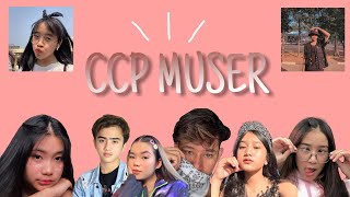 KUMPULAN CCP MUSER TERBARU 2019 | artis tiktok & muser | ccp pro!!!